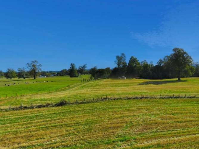 VENTA DE PARCELAS LOTEO RANCO NATIVO, 5000M2