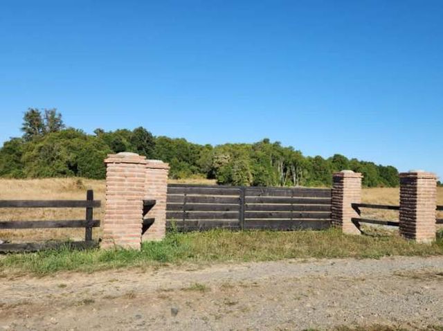 VENTA DE PARCELAS LOTEO RANCO NATIVO, 5000M2