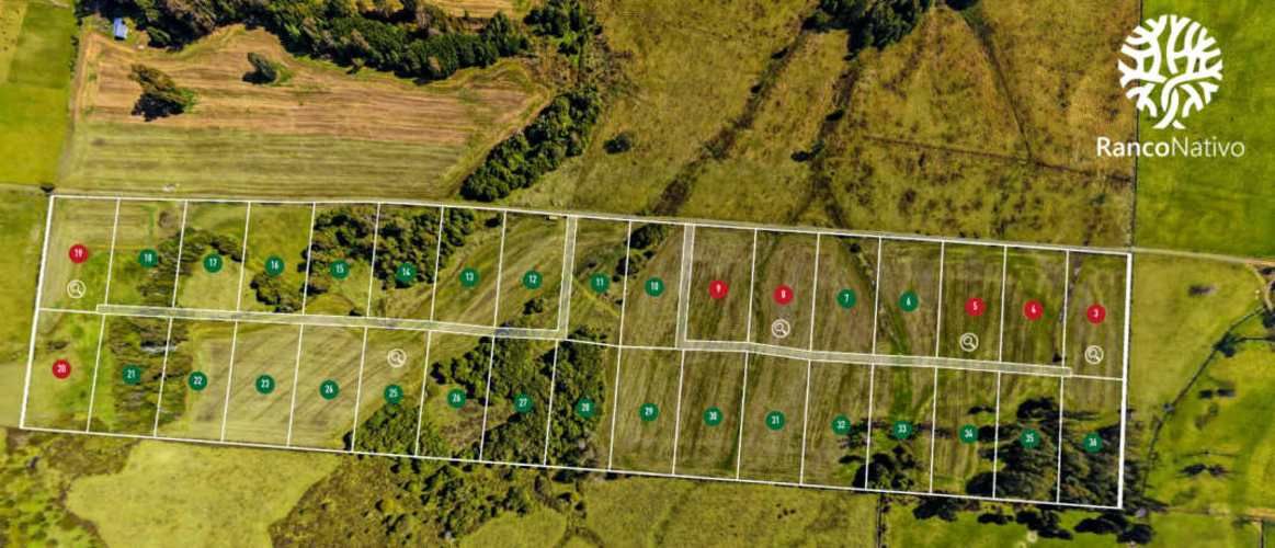 VENTA DE PARCELAS LOTEO RANCO NATIVO, 5000M2