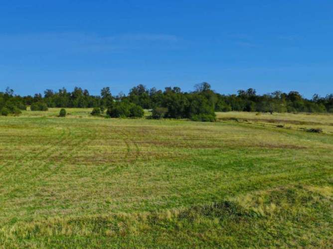 VENTA DE PARCELAS LOTEO RANCO NATIVO, 5000M2