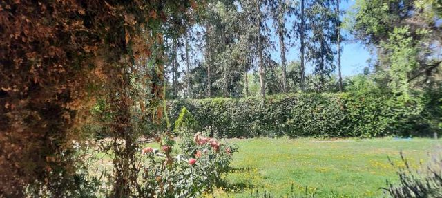 CASA EN PARCELA EN ISLA DE MAIPO