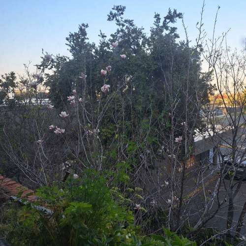 FIN DE SEMANA [Puertas adentro] -Las Condes