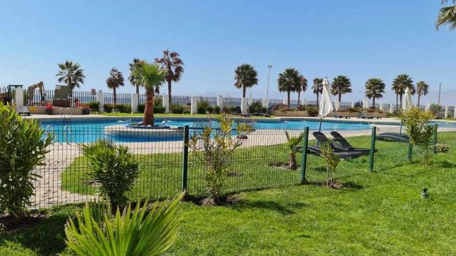 PEÑUELAS, COQUIMBO (131951)