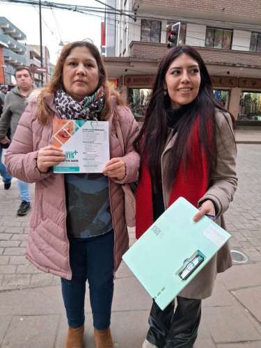 vendedor en terreno Temuco