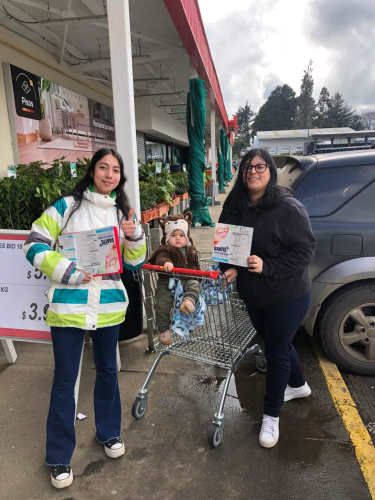 vendedor en terreno Temuco