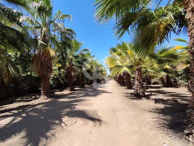 Parcela Lo Arcaya/Chicureo