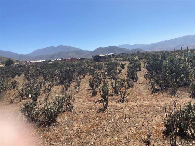 SITIO RUTA 5 // AVENIDA FRANCISCO DE AGUIRRE