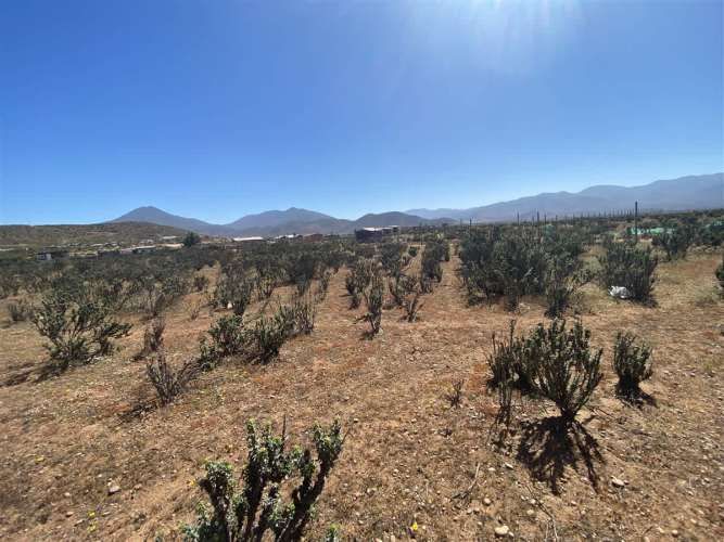 SITIO RUTA 5 // AVENIDA FRANCISCO DE AGUIRRE