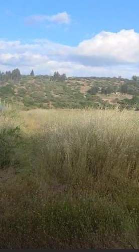 TERRENO CONSTRUCCION San Pedro de Melipilla loica abajo