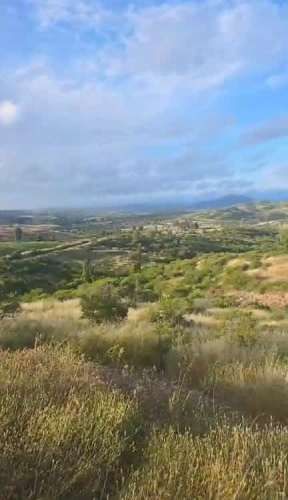 TERRENO CONSTRUCCION San Pedro de Melipilla loica abajo