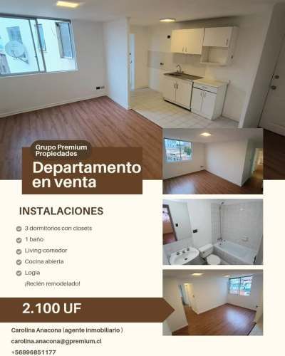 DEPARTAMENTO Entre calle Santo domingo y Santiago Severin