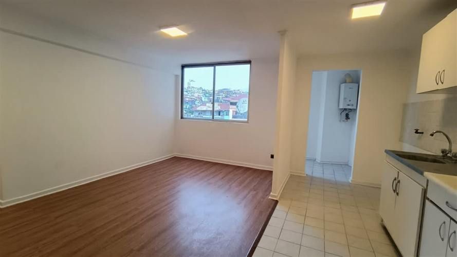 DEPARTAMENTO Entre calle Santo domingo y Santiago Severin