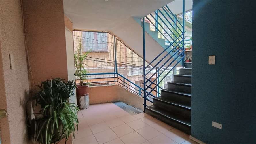 DEPARTAMENTO Entre calle Santo domingo y Santiago Severin