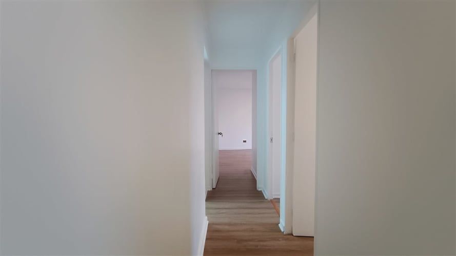 DEPARTAMENTO Entre calle Santo domingo y Santiago Severin