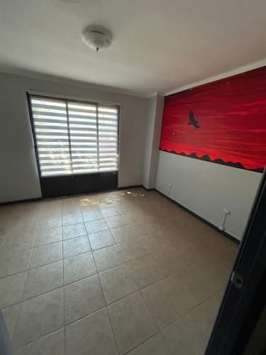 CASA martin rucker 221