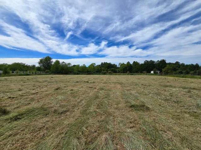 Se vende hermosa parcela sector de Tralcao