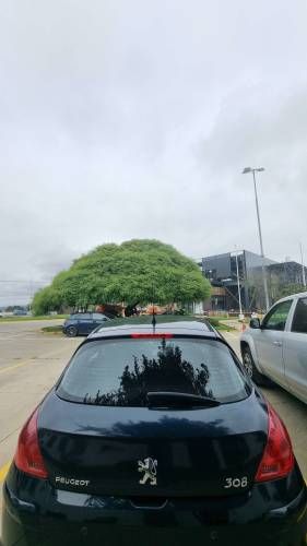 Auto Peugeot 308 CONFORT PACK HDI 1.6