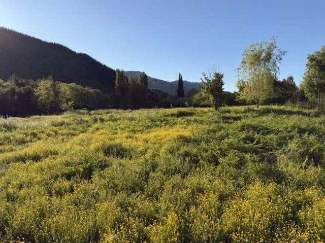 Parcela MOLINA EL YACAL