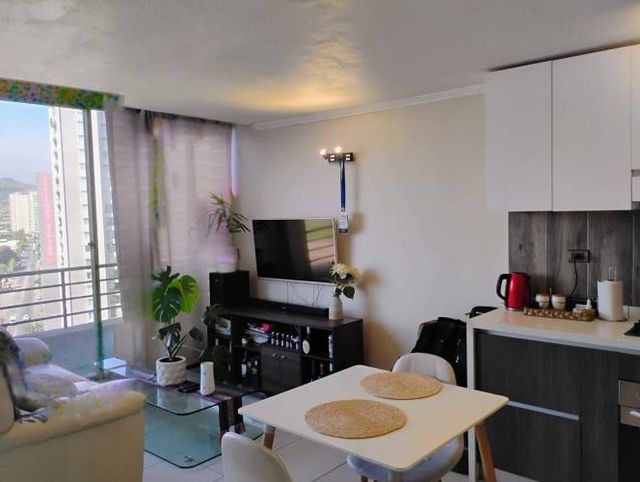 Departamento duplex 1 dormitorio (132112)