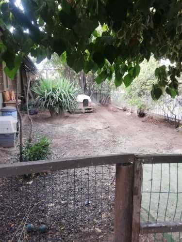 CASA Blest Gana / Javiera Carrera