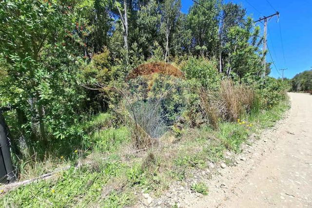 Parcela bosque nativo barrio consolidado