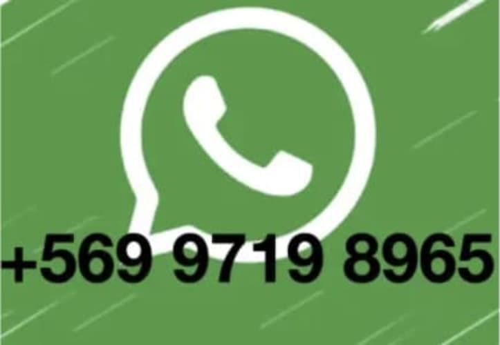 APOYO EXTERNO (VIÑA DEL MAR)