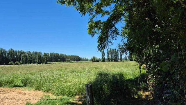 Se Vende Parcelas, 5.000 Mt2, Camino El Peral (132185)