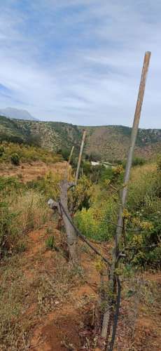 Parcela, Lomas del Cajon de San Pedro