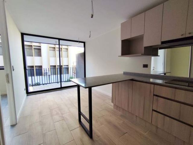 Domeyko 1950 (1 Est ) [3557-1]