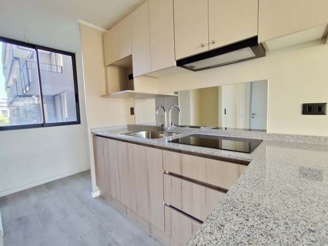 Domeyko 1950 (1 Est ) [3557-3]