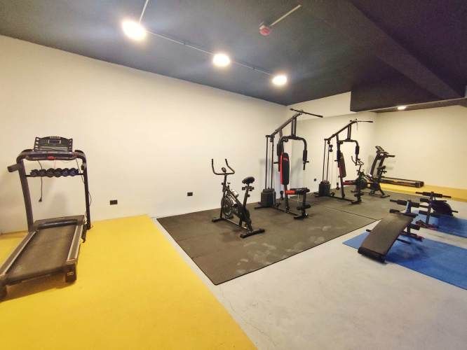 Domeyko 1950 [3557-3]