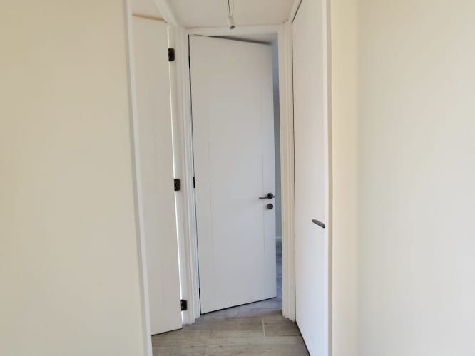 Domeyko 1950 [3557-3]