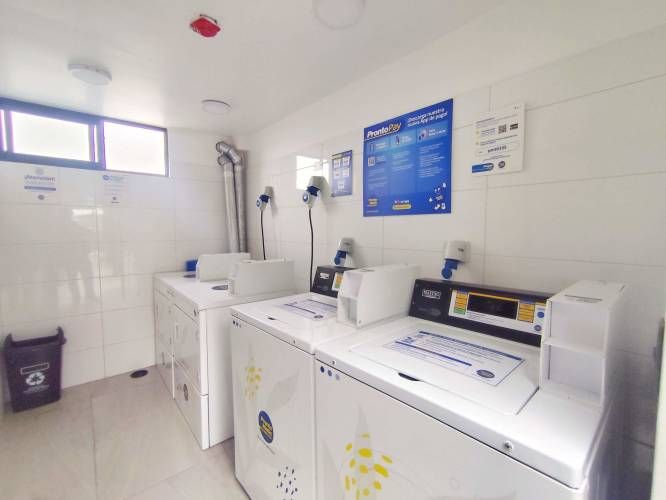 Domeyko 1950 [3557-3]