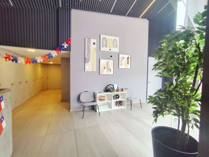 Domeyko 1950 [3557-3]