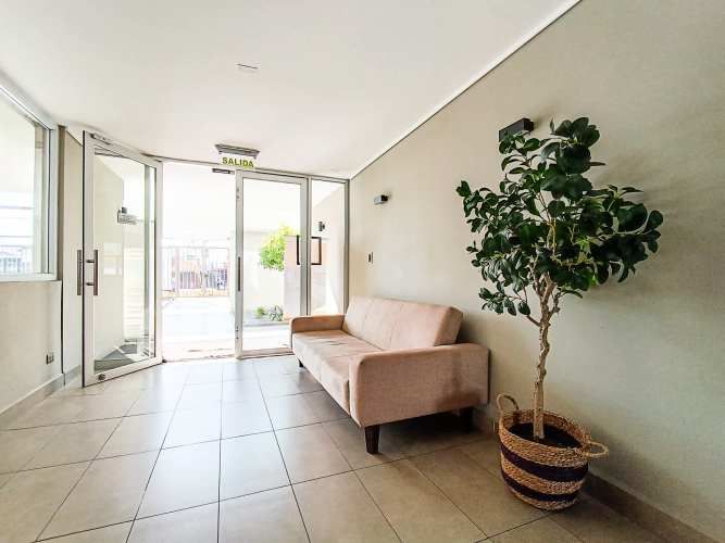 Sta. Amalia 317 (1 Est ) [2946-4]