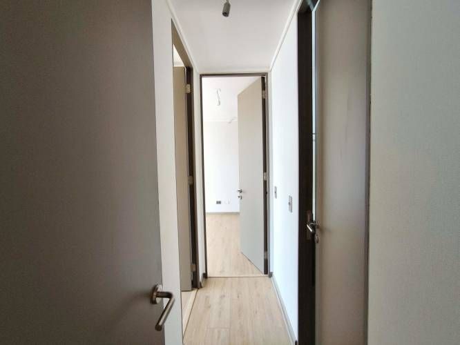 Sta. Amalia 317 (1 Est ) [2946-4]