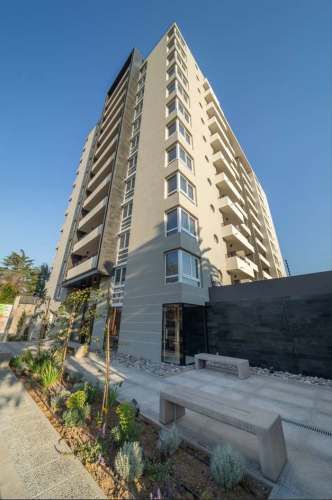 David Arellano 1954 [3490-4]