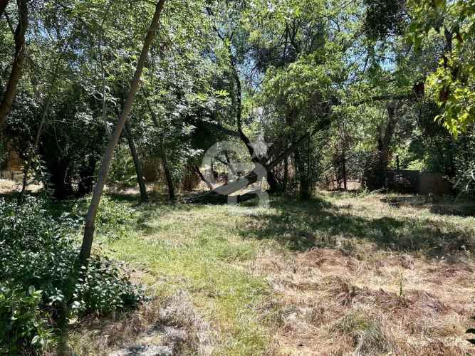 Sitio con casa en Vitacura, Lo curro