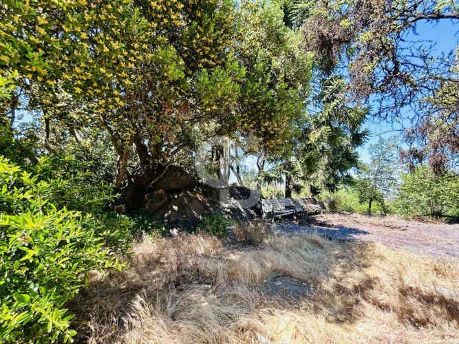 Sitio con casa en Vitacura, Lo curro