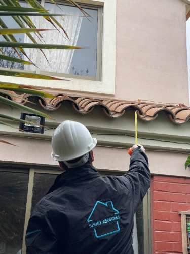 Promotora/vendedora -comisionista mercantil