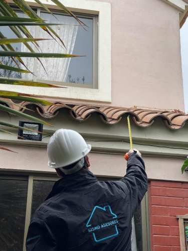 Promotora/vendedora -comisionista mercantil