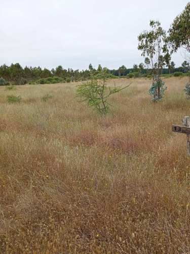 Conectividad y Tranquilidad en Un Solo Lugar (132293)