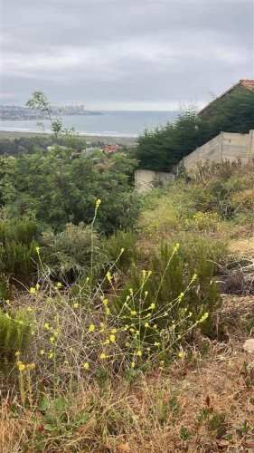 PARCELA Avenida dunas del mar