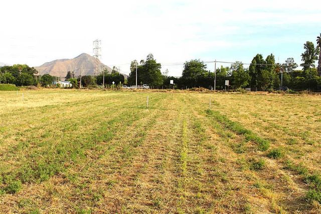 PARCELA Dario Pavez con Jorge Alessandri