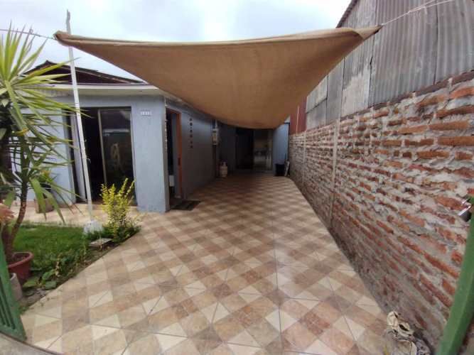 CASA 5 de Abril con Shneider