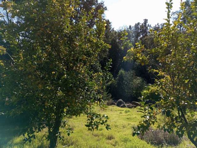 Paraíso Natural Ideal para Desconectar (132360)