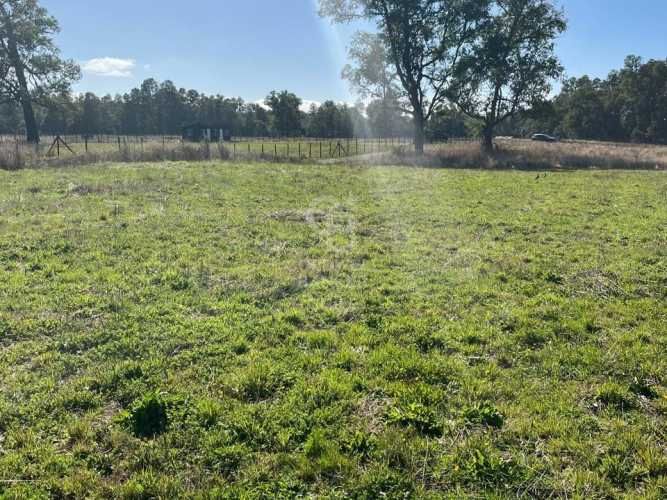 Parcela en Los Muermos