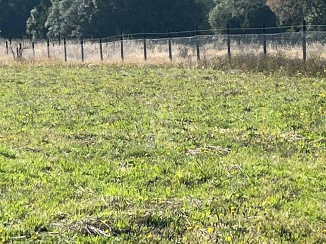 Parcela en Los Muermos