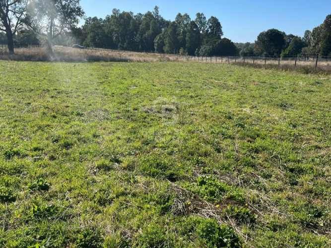 Parcela en Los Muermos