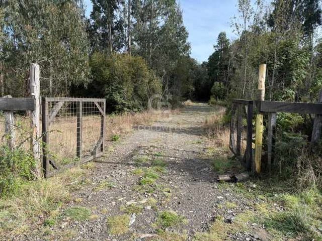 Parcelas en venta – Río Pescado, Km 8